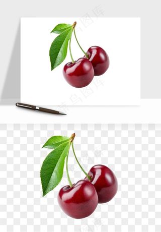 樱桃车厘子水果png免抠