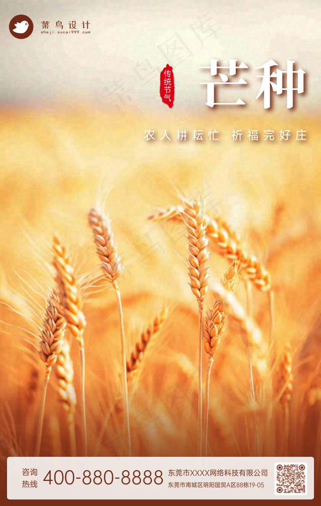 芒种手机海报