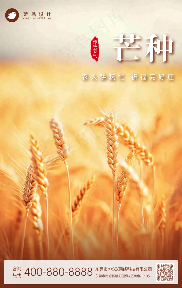 芒种手机海报