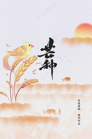 芒种节气传统活动海报