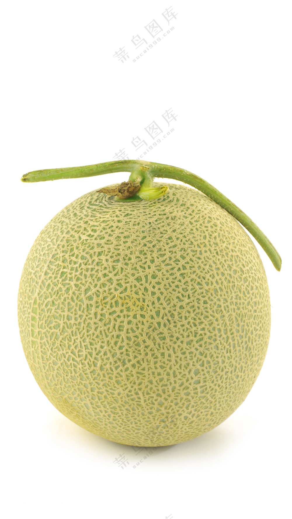 新疆哈密瓜图片
