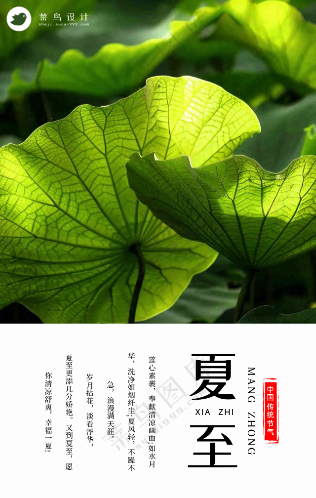 夏至手机海报