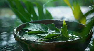 端午节浸泡的绿叶粽叶清新摄影图