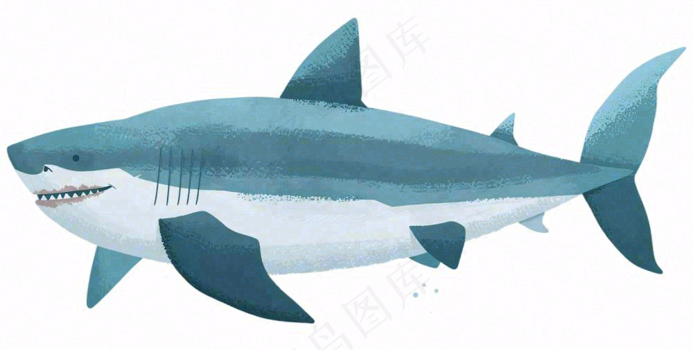 海洋鲨鱼动物卡通插画免抠