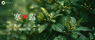 寒露公众号首图