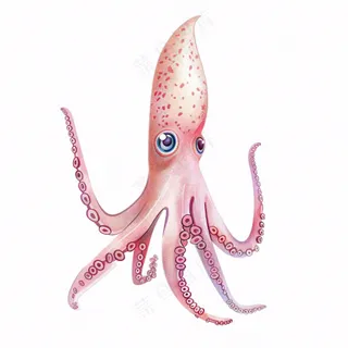 海洋动物章鱼墨鱼鱿鱼卡通插画免抠