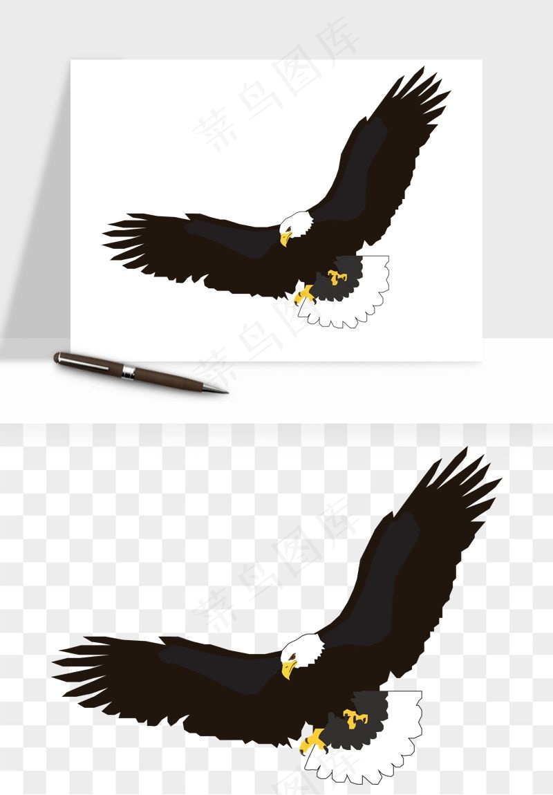 老鹰雄鹰展翅png免抠