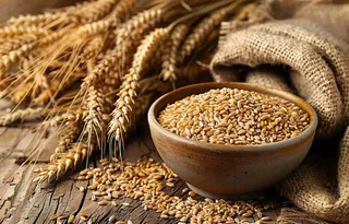 世界粮食日谷物米饭稻谷小麦摄影图