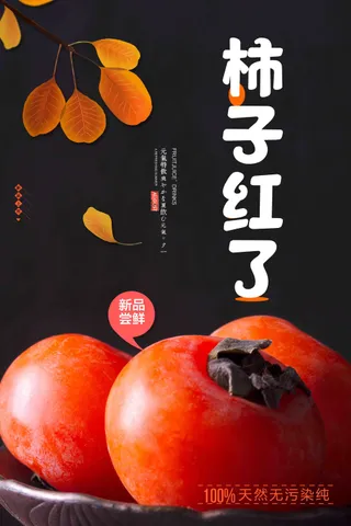 秋天柿子红了宣传海报