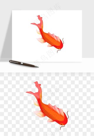 锦鲤鱼手绘水墨png免抠