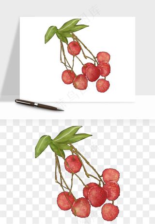 荔枝妃子笑水果png免抠