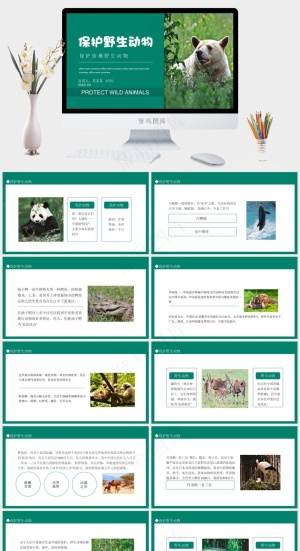 保护野生动物绿色环保PPT预览图