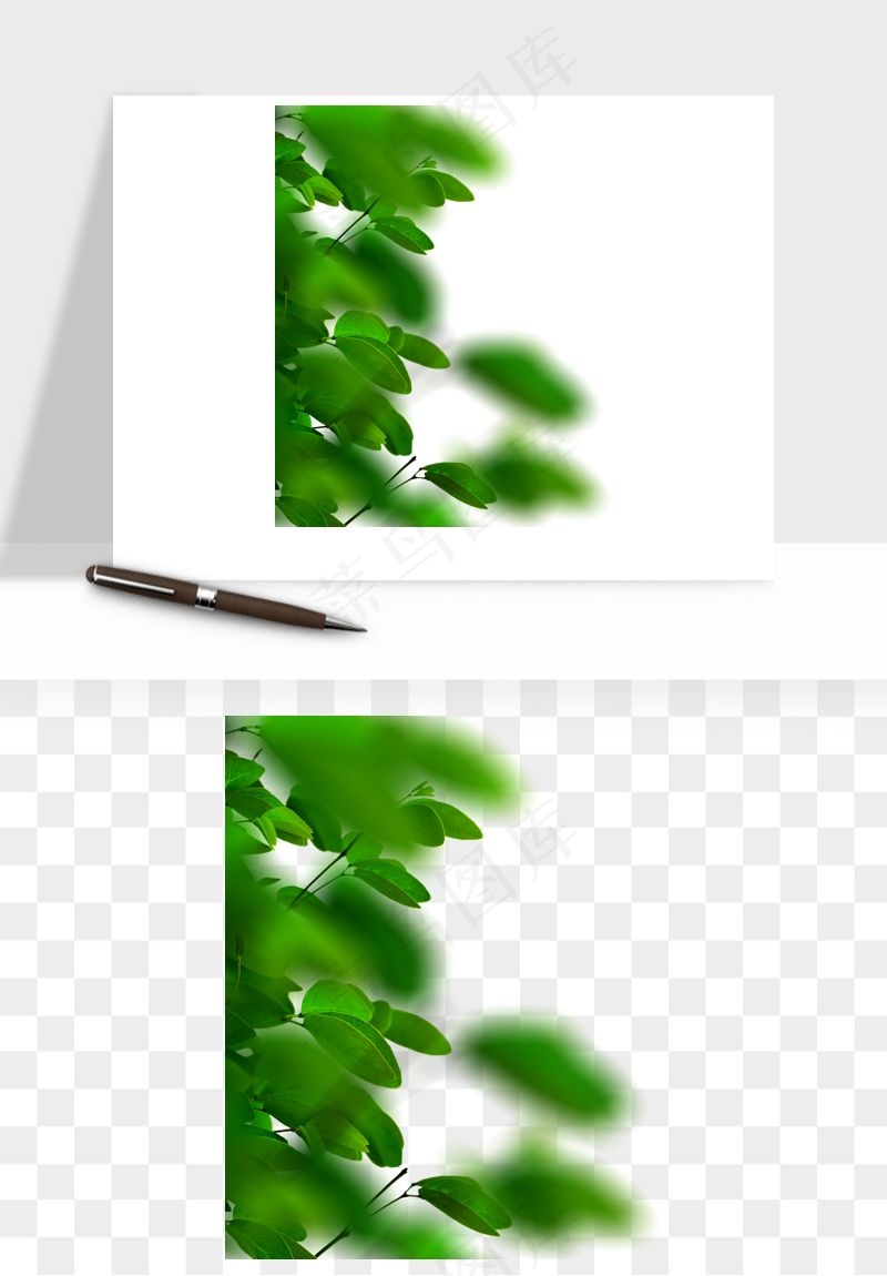绿叶虚化前景树枝png免抠