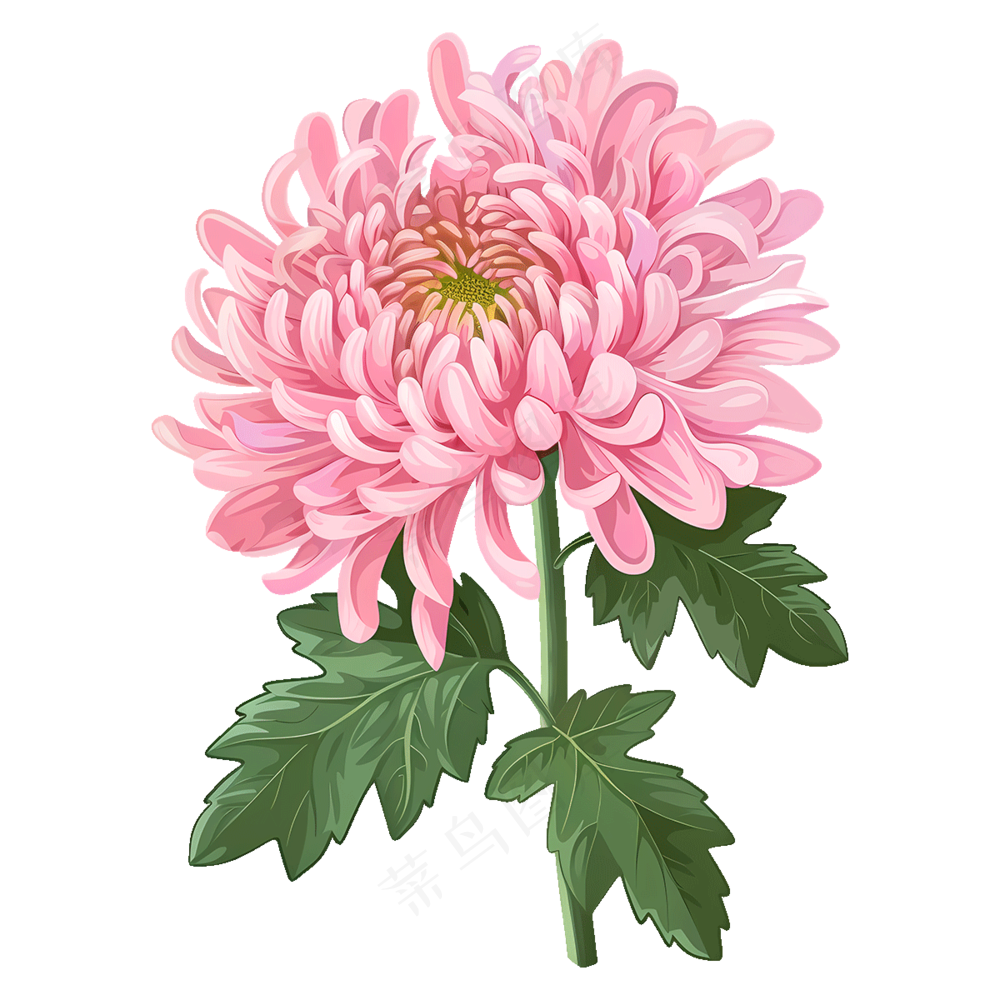 免抠一朵粉色的卡通菊花