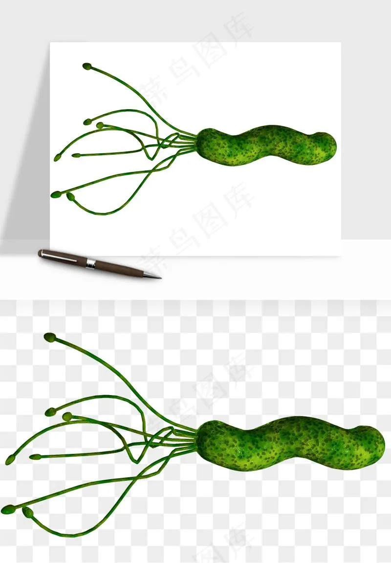病毒细菌癌细胞png免抠