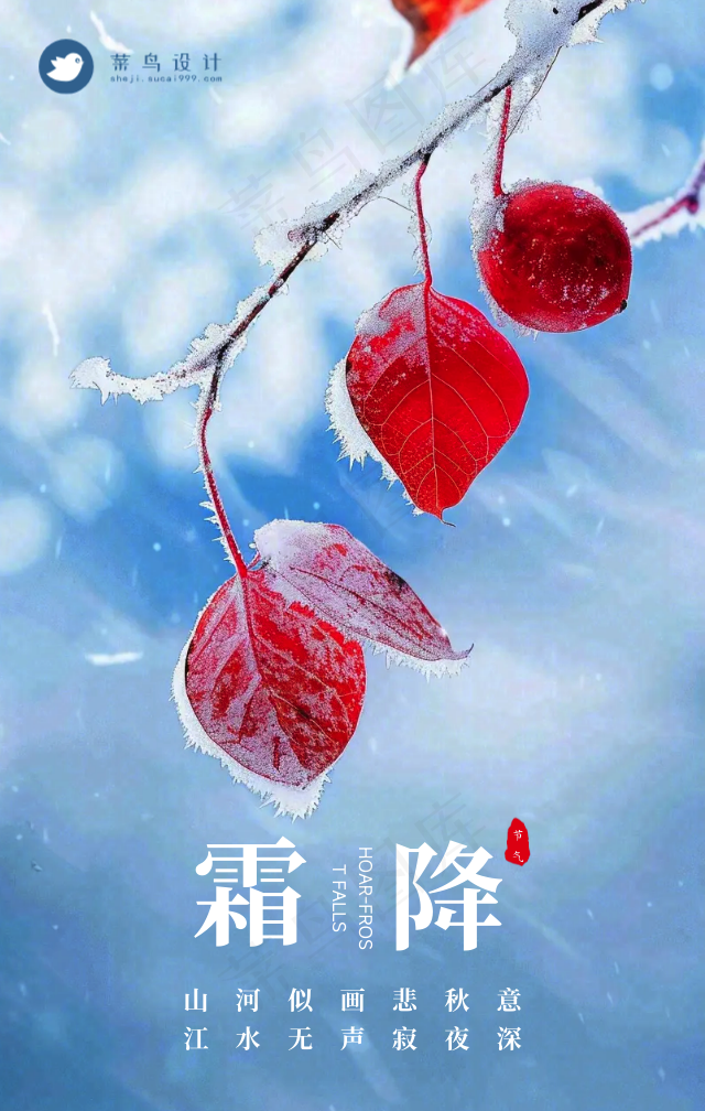 霜降手机海报