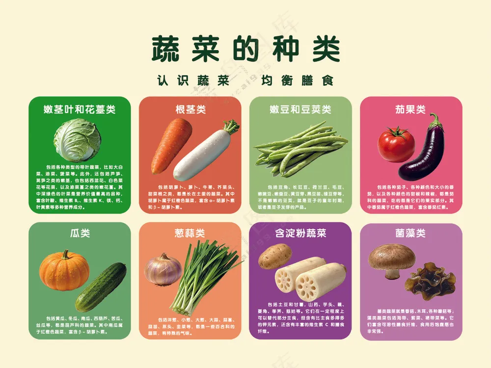暖色简约蔬菜的种类