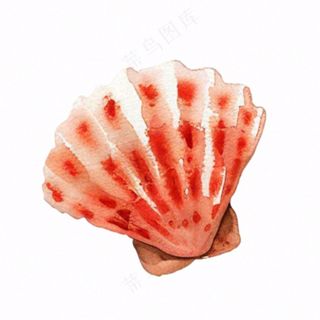 海洋扇贝贝壳卡通插画免抠