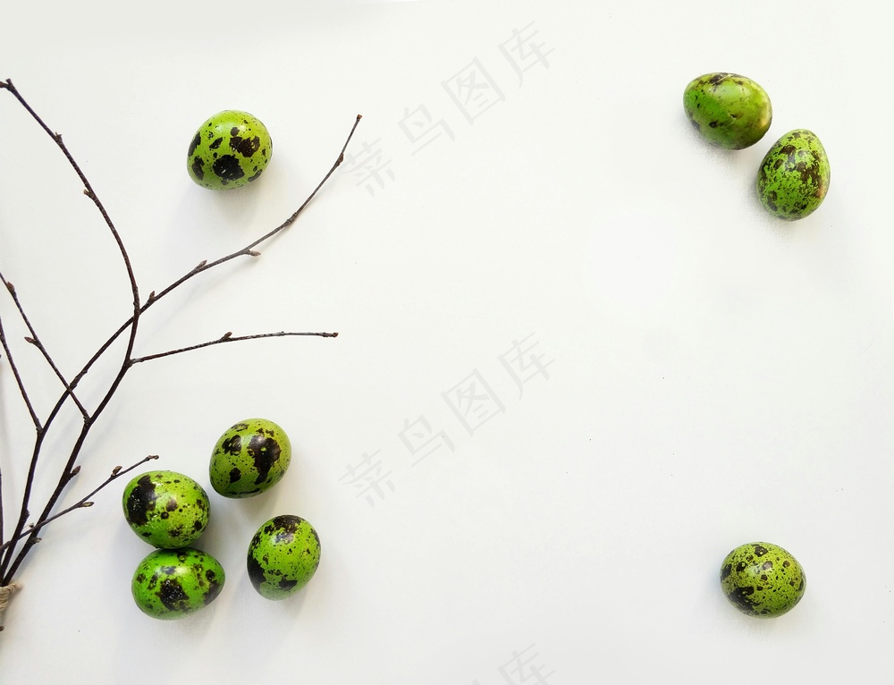 免费 八只鹌鹑蛋和黑树枝 素材图片