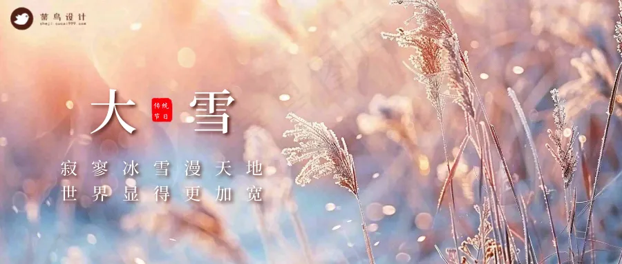 大雪公众号首图