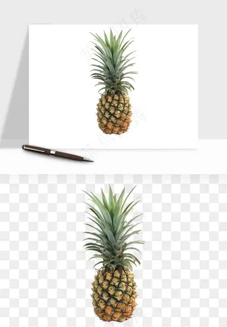菠萝水果png免抠
