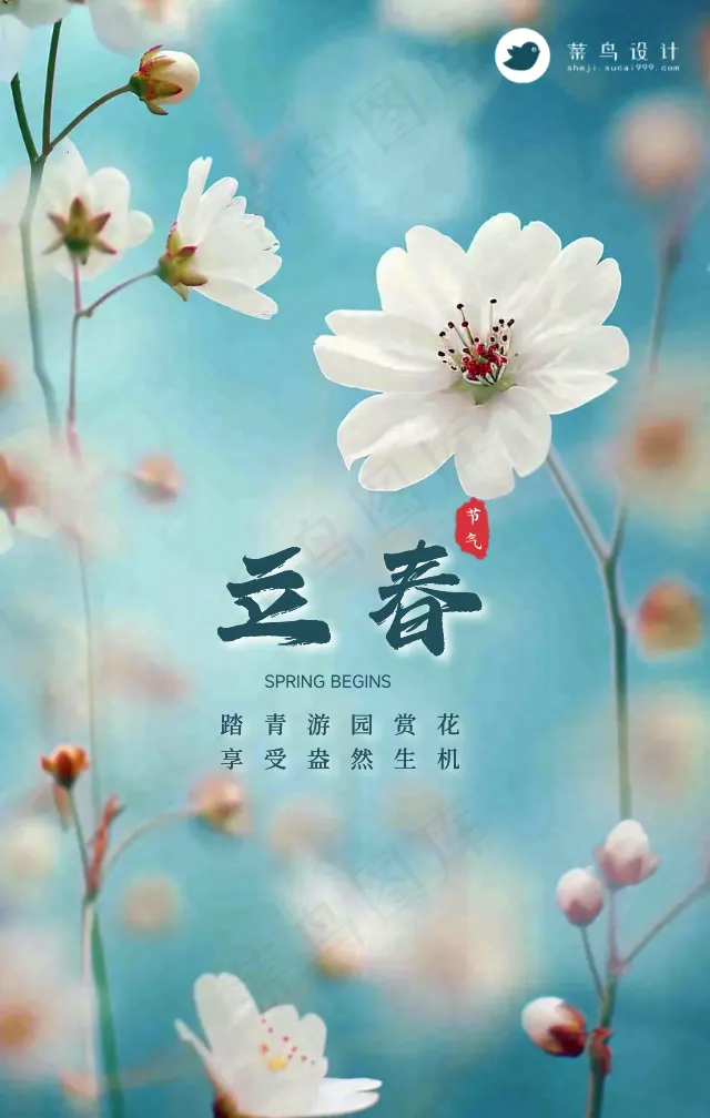 立春手机海报