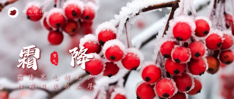 霜降公众号首图