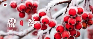 霜降公众号首图