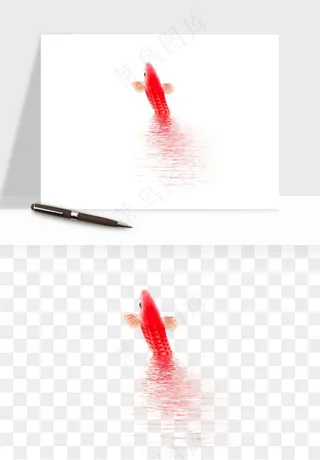 锦鲤鱼手绘水墨png免抠