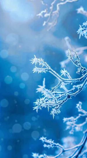 冬天寒冷白雪结冰大寒摄影图