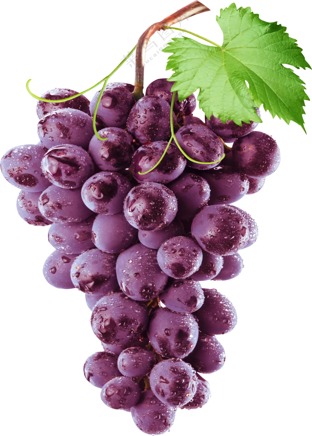 葡萄免抠元素2