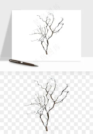 雪树枯树冬天树木png免抠