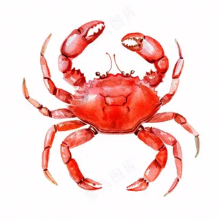 螃蟹海洋动物卡通插画免抠