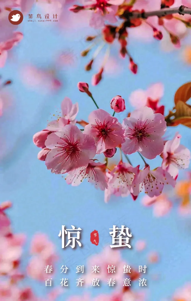 惊蛰手机海报