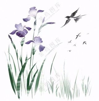 水墨画兰花鸟类紫色兰花插画免抠