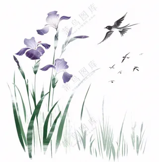 水墨画兰花鸟类紫色兰花插画免抠