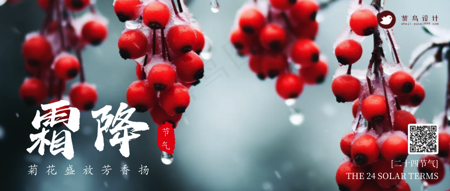 霜降公众号首图