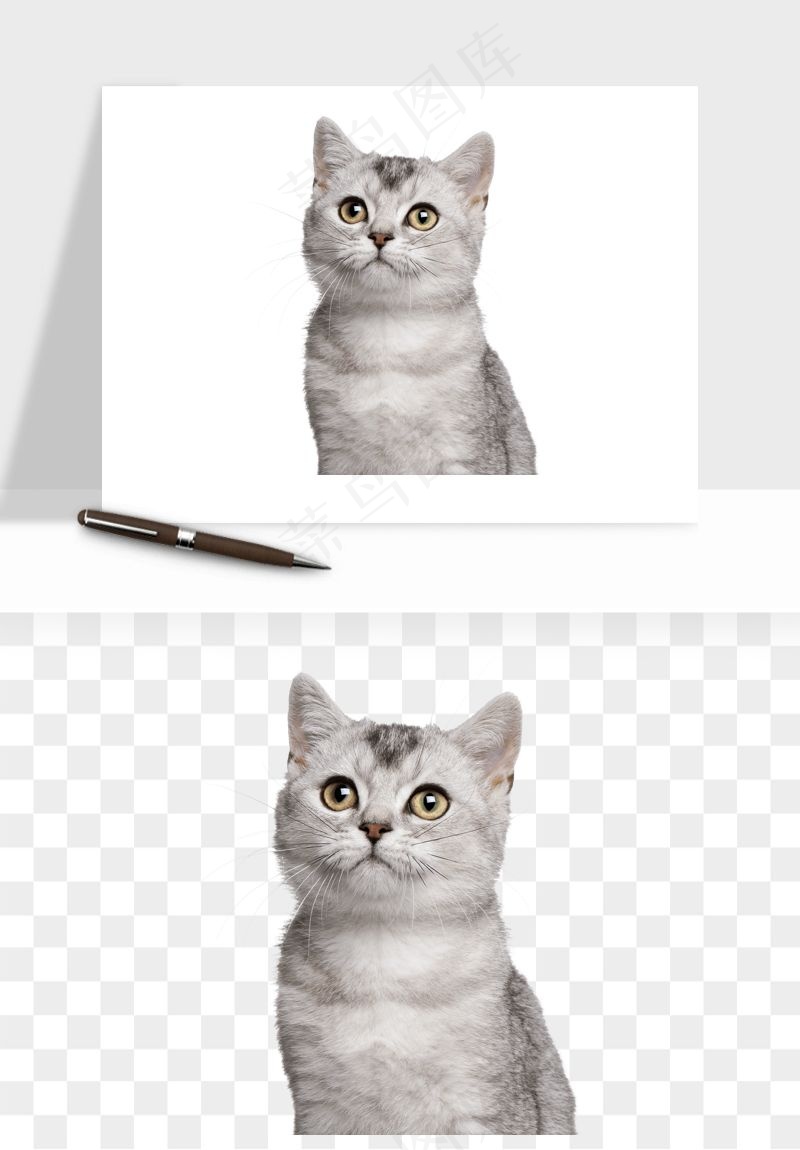 猫咪喵星人狗狗宠物元素png免抠