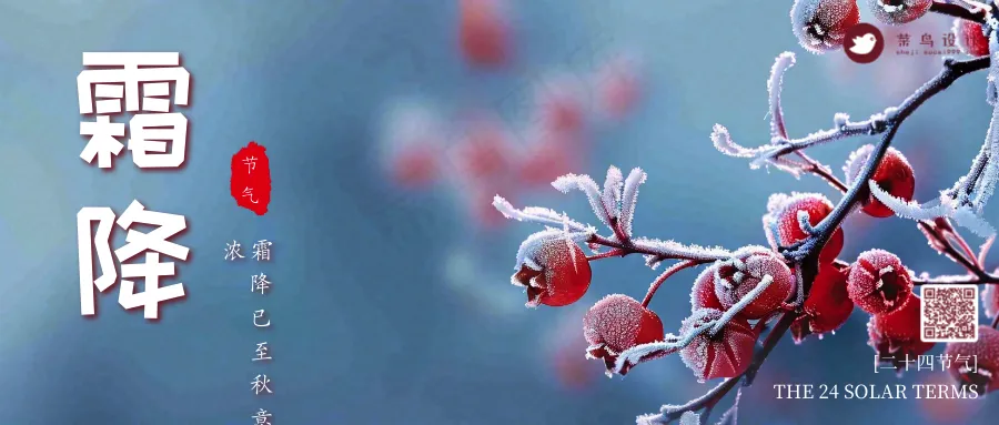 霜降公众号首图