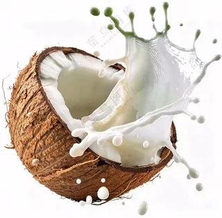 新鲜椰子汁水椰奶飞溅摄影图