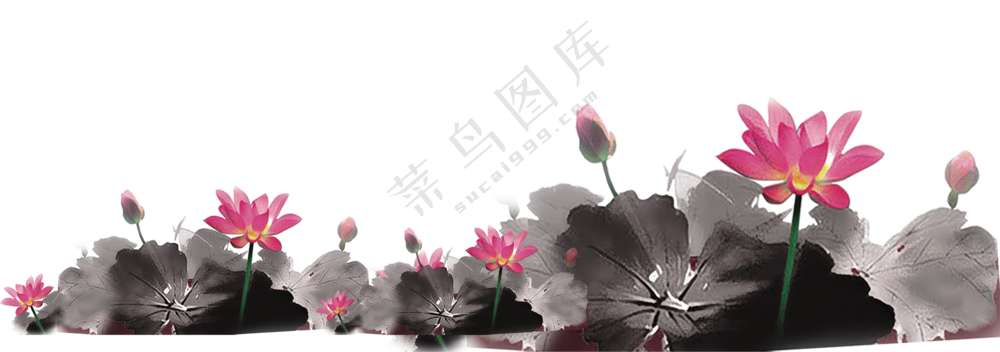 水墨风呈现的池塘荷花绘画PNG图片