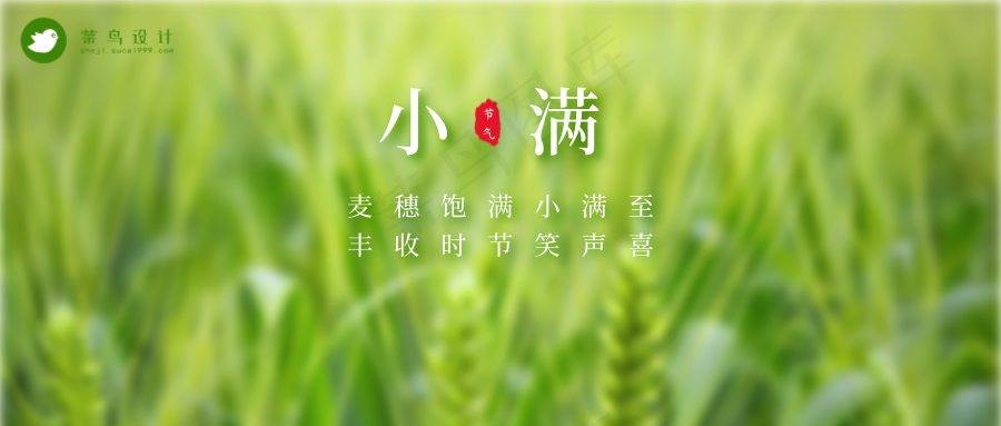 小满公众号首图