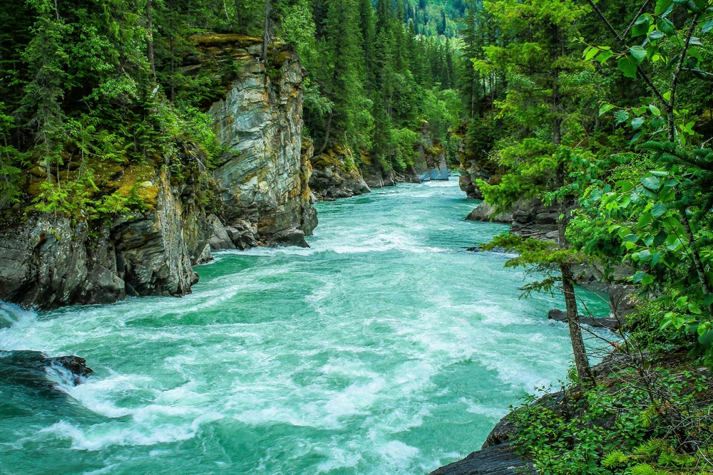 蓝河绿林静谧景·自然流淌风格·蓝绿交织·壁纸珍藏