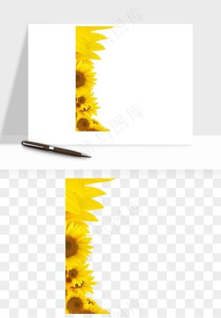 向日葵太阳花卉png免抠