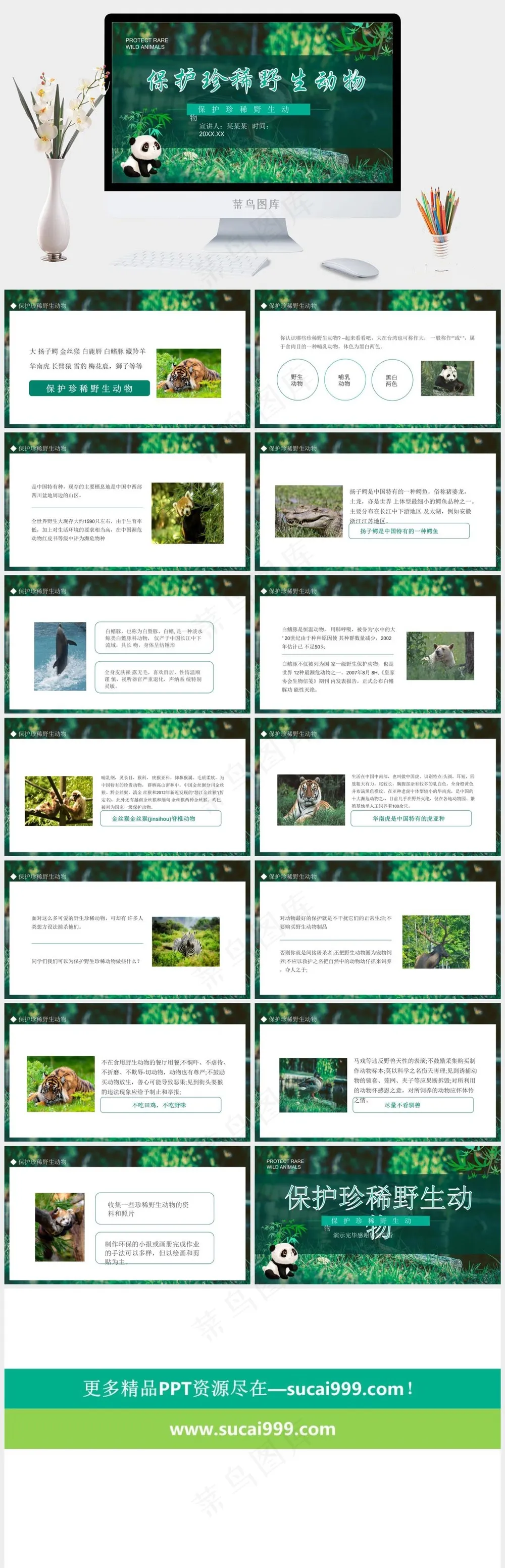 保护野生动物绿色环保PPT
