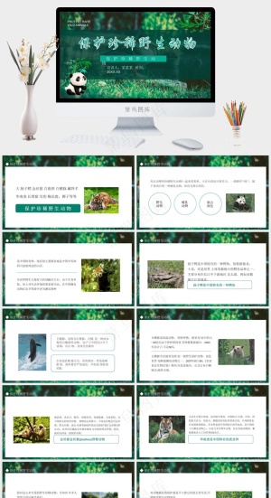 保护野生动物绿色环保PPT预览图