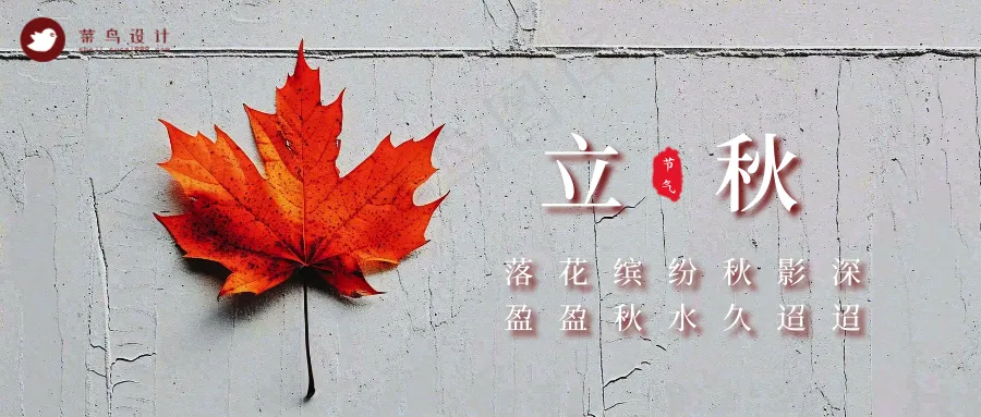 立秋公众号首图