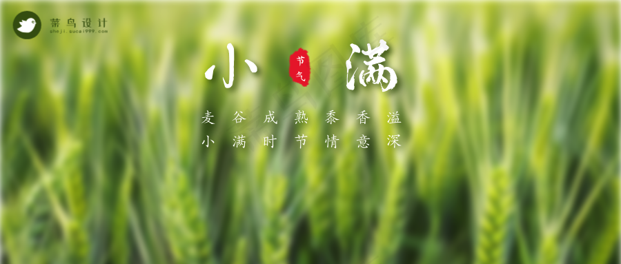 小满公众号首图