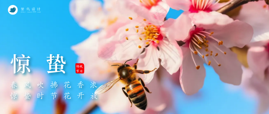 惊蛰公众号首图