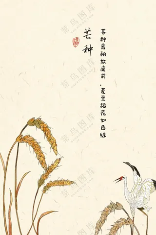 二十四节气 芒种